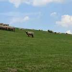 Kiebitzweg 4b Lägenhet *